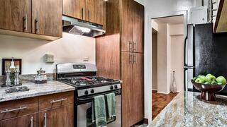 1-Bedroom at Parkchester: 81 Metropolitan Oval (Bronx)