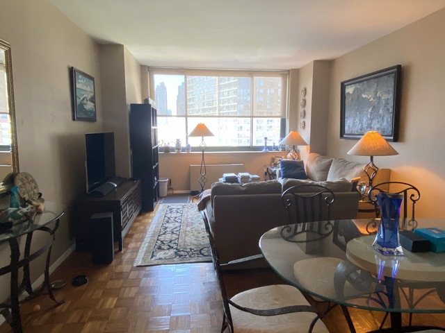 1br Apartment Manhattan